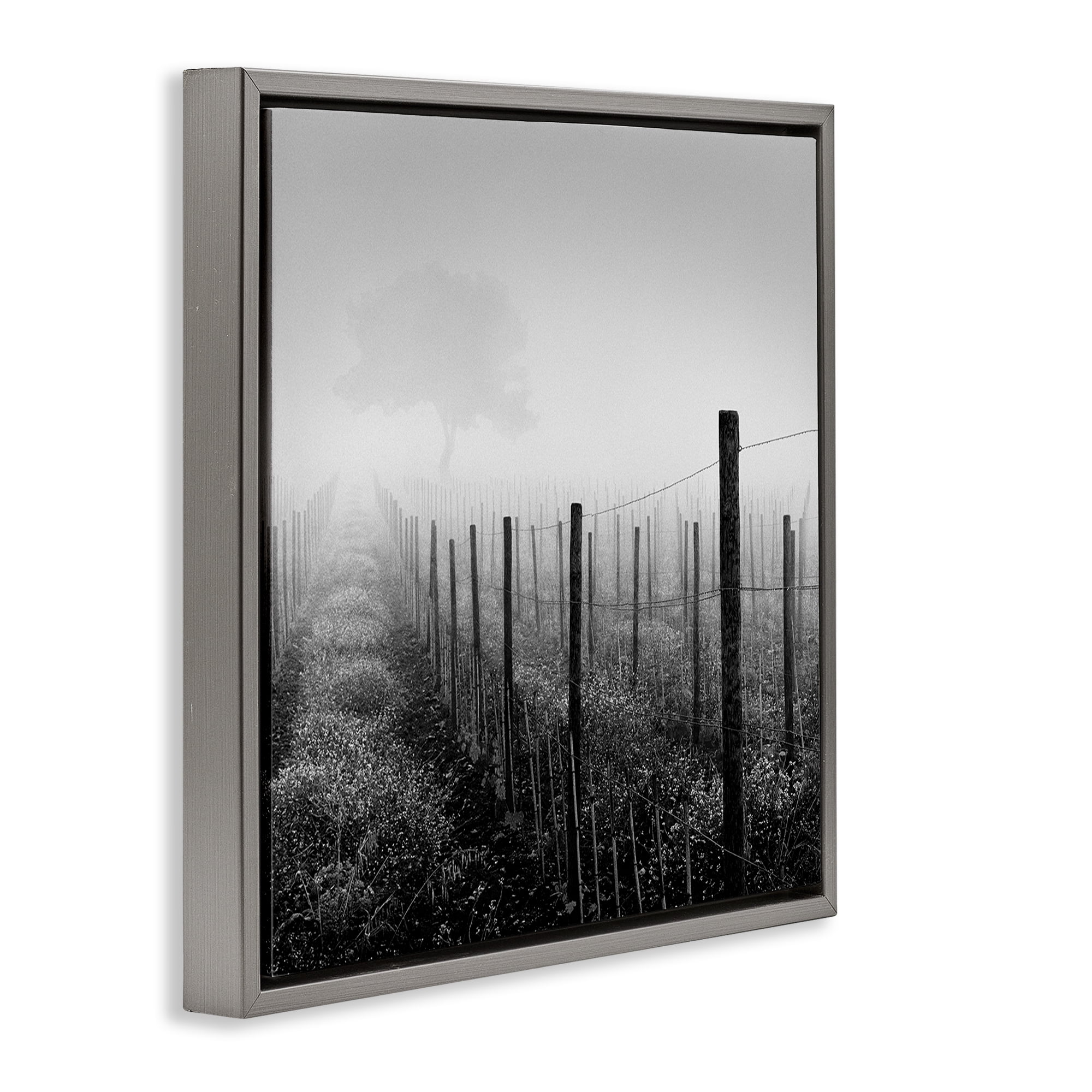 Stupell Industries Vineyard at Dawn Landscape & Nature Photography Gray Floater Framed Canvas Art Print Wall Art, 18 x 18