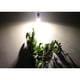 thumbnail image 3 of 2 Pieces Plants Flowers Grow Light Bulbs,E27 LED Full Spectrum Plant Light Bulb for Indoor Plants, Flowers, Greenhouse, Indoor Garden, Hydroponic Soledad Las plantas crecen bombilla de luces, 3 of 5