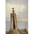 thumbnail image 2 of Deiter, Lori 13x18 Gold Ornate Wood Framed with Double Matting Museum Art Print Titled - Birds Eye View, 2 of 4