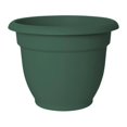 thumbnail image 1 of 20-56406 6 Po Ariana Planteur Thym Vert, 1 of 1