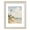 White Gold, variant on 5x7 Picture Frame, Gold – Displays 4x6 or 5x7 Photos, Ornate Frame for Wall or Tabletop Display