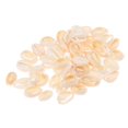 thumbnail image 3 of 50Pcs Natural Sea Shell Loose Beads Decor Diy Craft Pendant Jewelry Accessories, 3 of 6