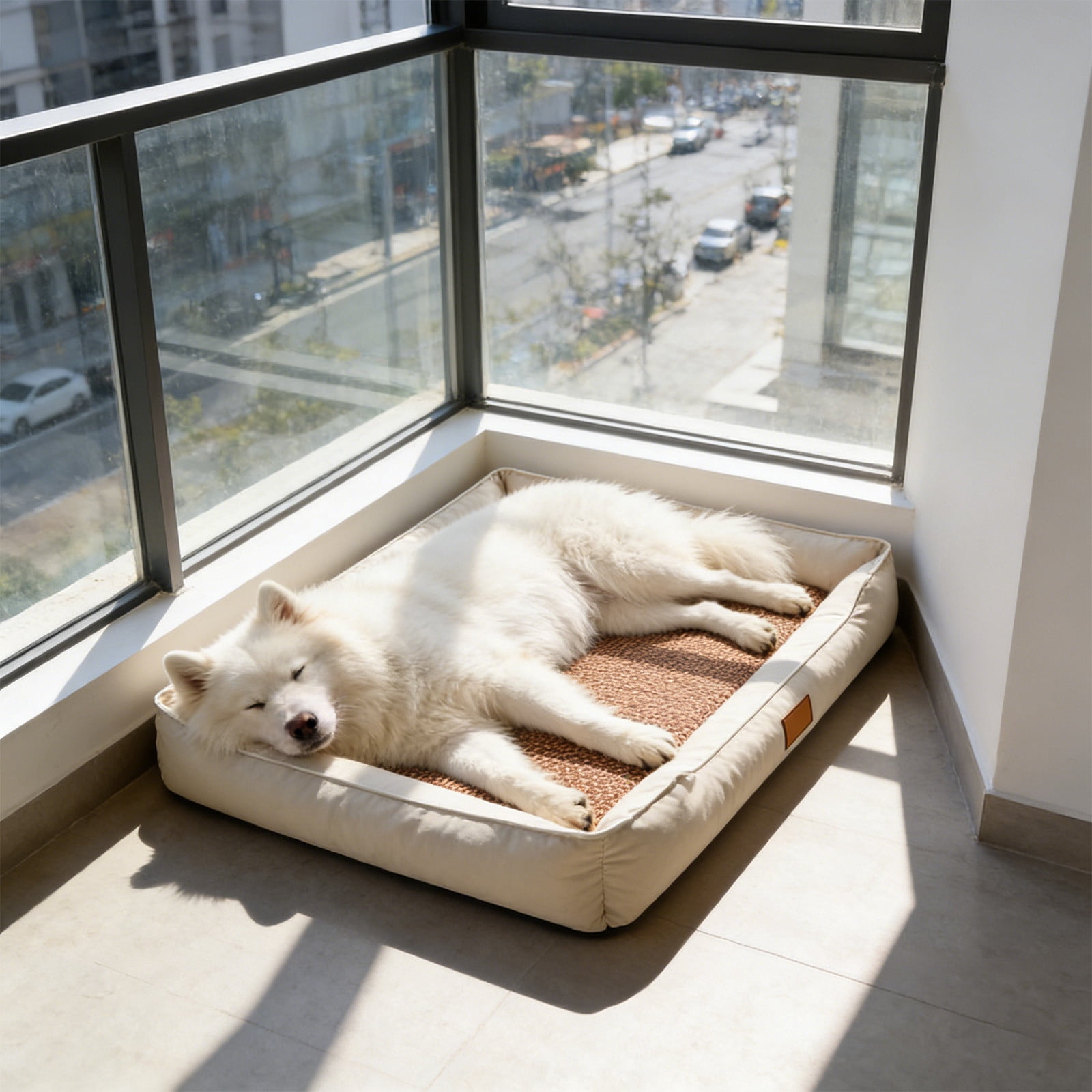 Large Pet Bed Cotton Filled Cushion Sofa Bed Removable Washable for Dogs Cats 644612cm Indoor Use