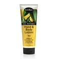 thumbnail image 1 of ShiKai Hand And Body Lotion, Yuzu, 8 Ounce, 1 of 3