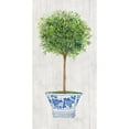 thumbnail image 3 of Tava Studios 14x24 Black Modern Framed Museum Art Print Titled - Thyme Topiary, 3 of 5