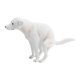 thumbnail image 5 of Figura realista de perro labrador, juguete de cachorro realista, decoración del hogar, modelo animal de simulación para sala de estar, hotel, comedor,, 5 of 8