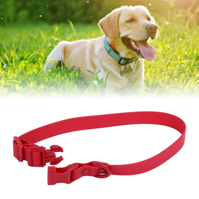 Collar Para Mascotas, Collar De De PVC Ajustable Para La Piel, Impermeable, Ligero Para Gatos