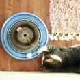 thumbnail image 2 of Bergan Turbo Scratcher Cat Toy Assorted, 2 of 4