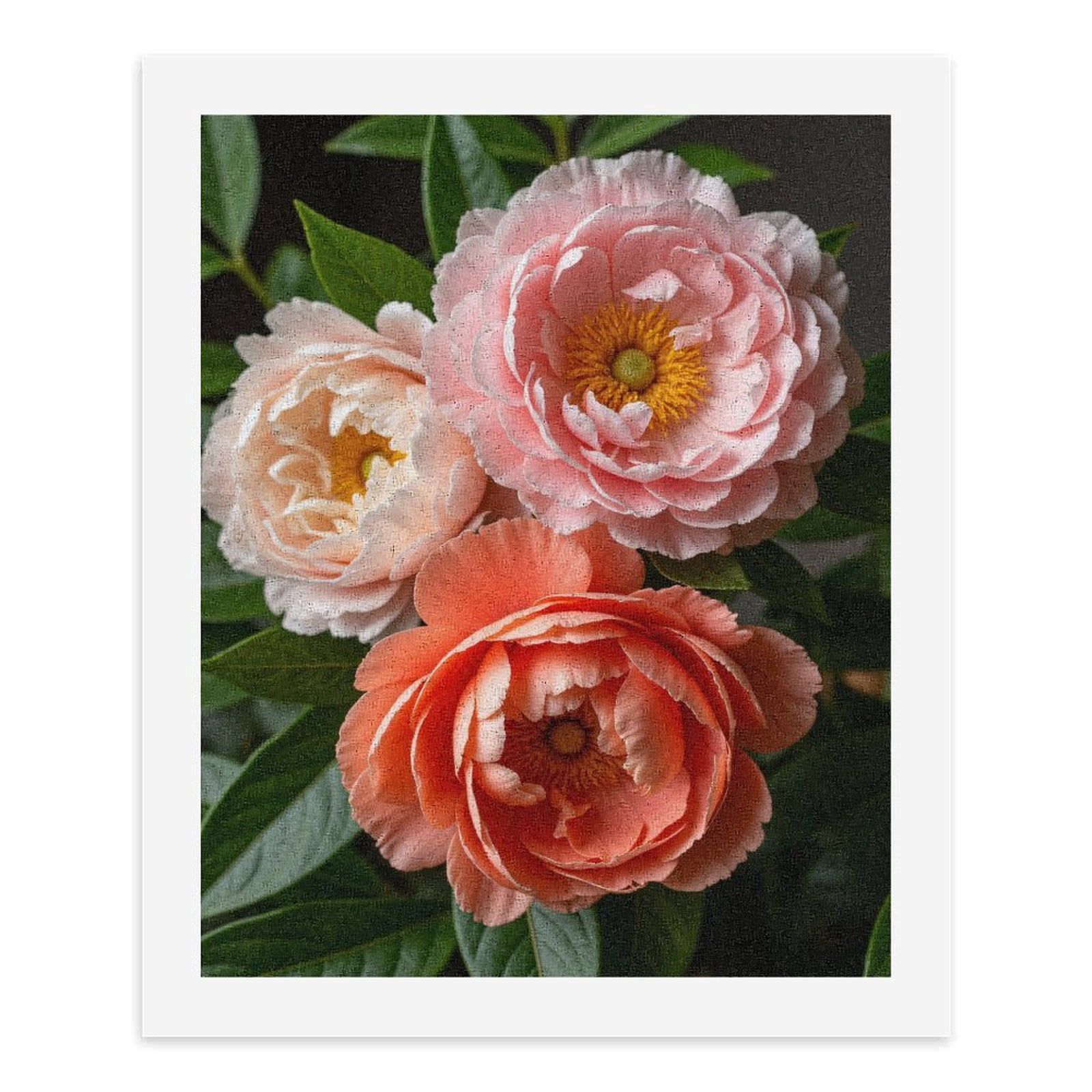 Paint by Numbers Kit for Adults, Blossom Beauty Pink Orange Peonies Paint by Numbers, Easy Paint by Numbers Kit for Adults Beginner, DIY Adult Paint by Number Kits on Canvas, 12x16in Home Decor