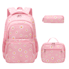 Daisy A/Pink