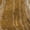 Paprika, variant on Dalyn Rugs Premium Machine Washable Mayfield AMF1037 Paprika 2'3" x 7'6" Runner Rug