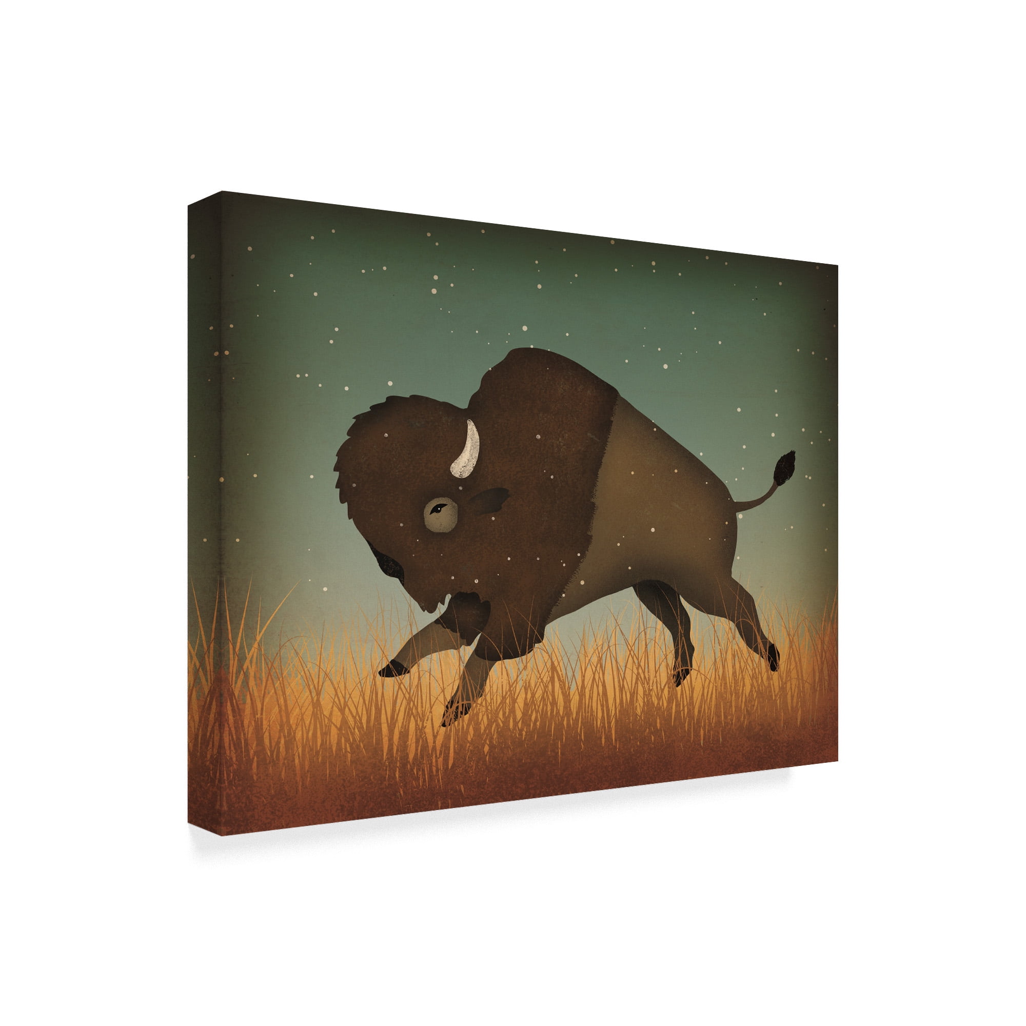 Trademark Fine Art 'Buffalo Bison II' Canvas Art by Ryan Fowler
