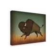 thumbnail image 2 of Trademark Fine Art 'Buffalo Bison II' Canvas Art by Ryan Fowler, 2 of 3