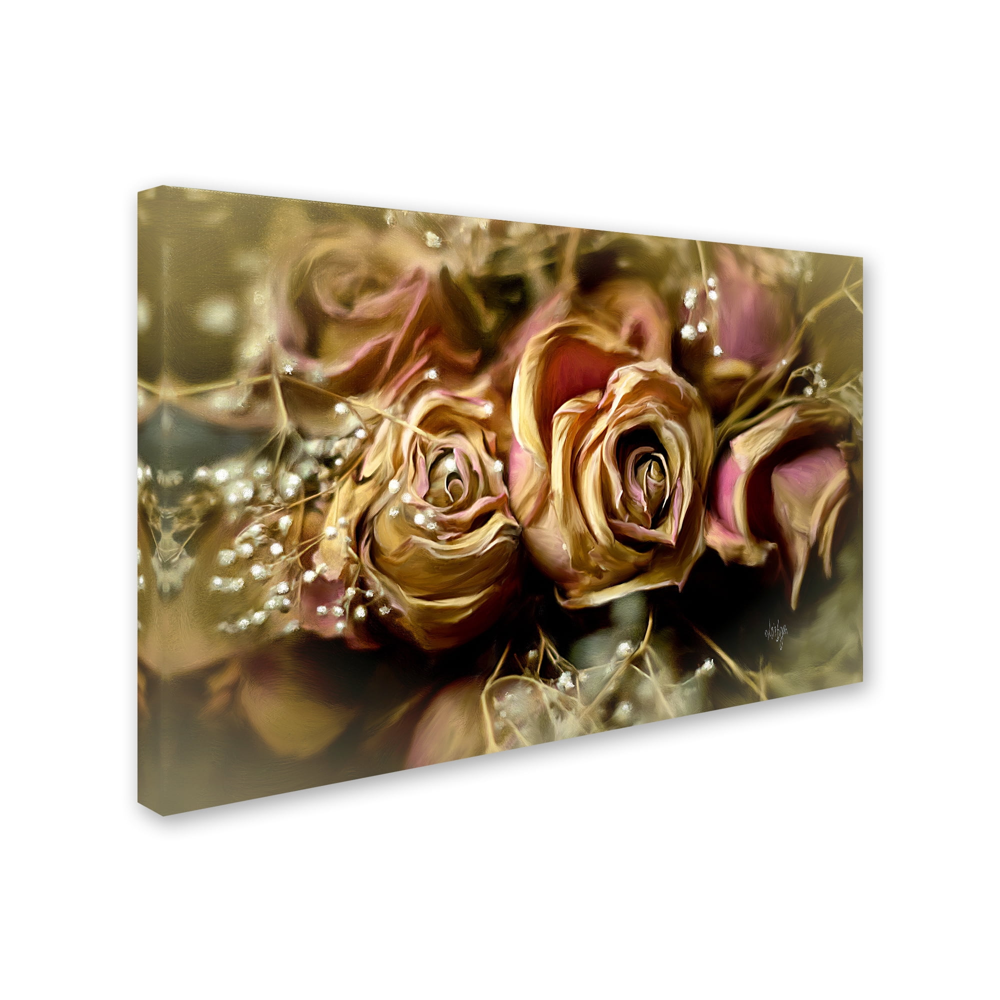 Trademark Fine Art "Painted Old Roses" Canvas Art by Lois Bryan