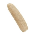 thumbnail image 2 of Éponge Luffa Exfoliante Naturelle Biodégradable, Planche de cellulose, Récurant, Récurant Cuisine Salle de Bain, 2 of 9