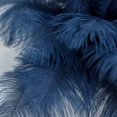 thumbnail image 5 of BalsaCircle 12 Pieces 13"-15" Navy Blue Authentic Ostrich Feathers Centerpieces, 5 of 7