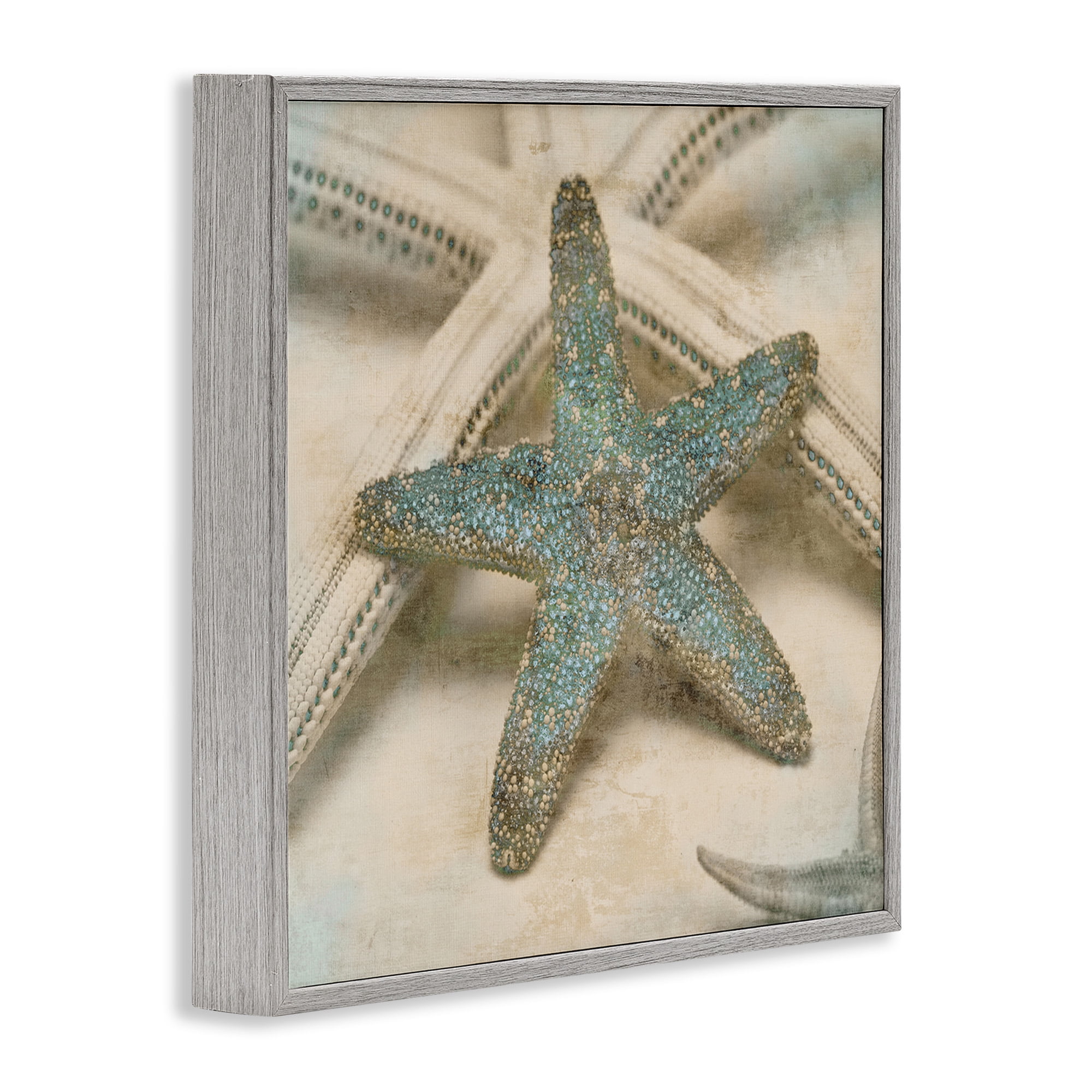 Stupell Industries Distressed Texture Starfish Nature Photography Gray Framed Art Print Wall Art, 17 x 17
