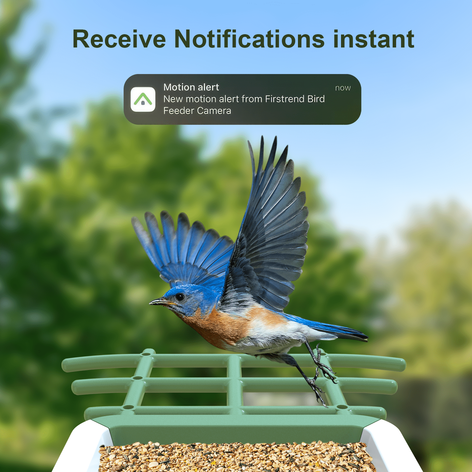 Smart Bird Feeder with Camera, Solar Powered Birdhouse Camera with AI Bird Recognition, Outdoor Wireless WiFi Bird Feeder with Live Video, Fun Gift for Mom, Grandma, Daughter