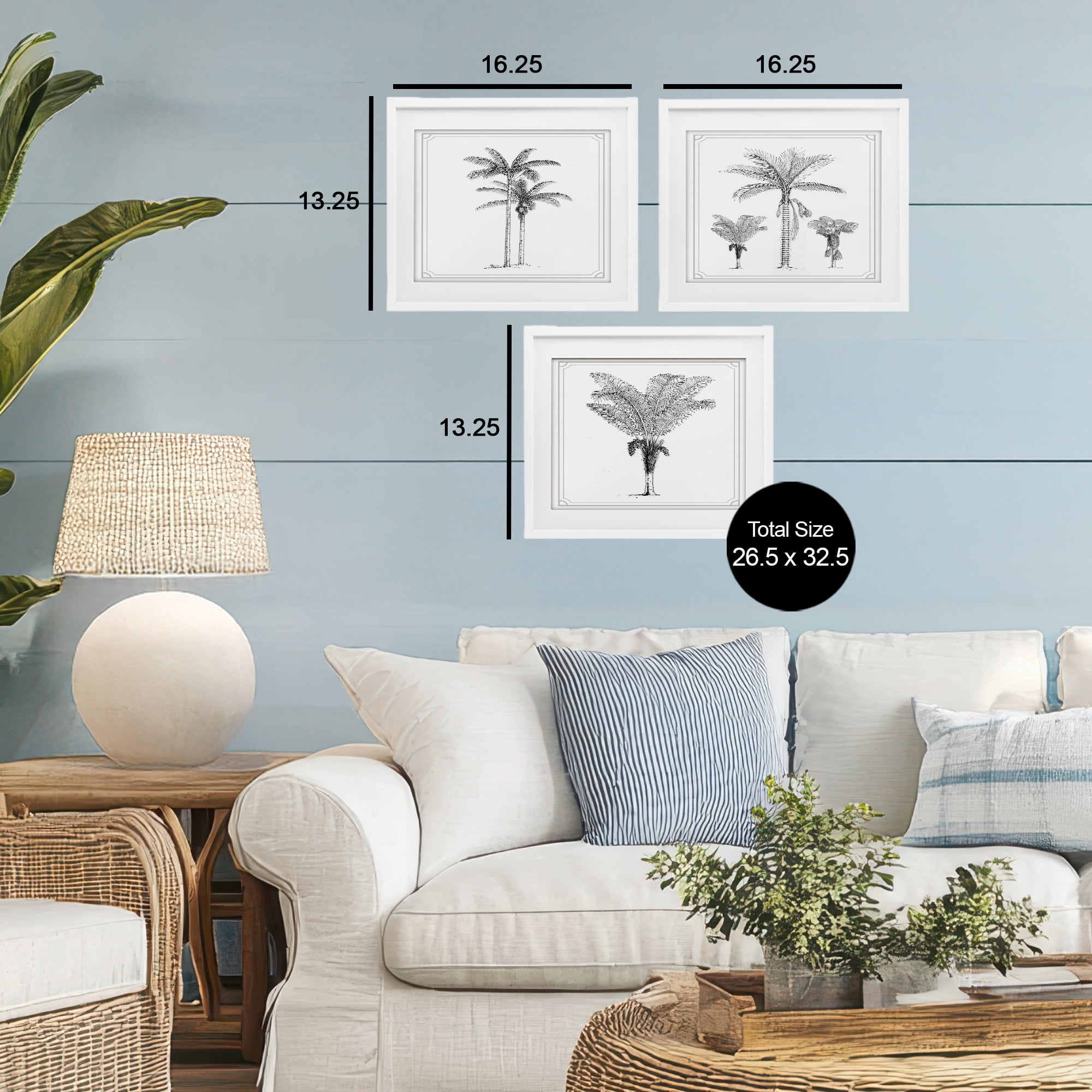 Minimal Vintage Palm Tree Sketches 3 Piece White Framed Print Under Glass Set, design by Lettered and Lined