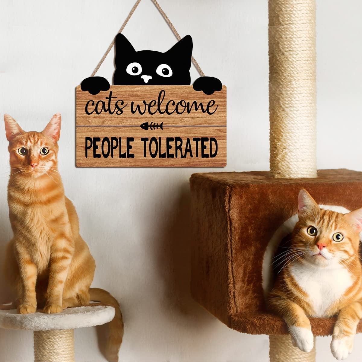 10 Round Wooden Sign: Vintage Scaredy Cats Welcome [AP7301