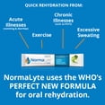 thumbnail image 5 of NormaLyte Green Apple Hydration Bag - 30 Sticks - FSA/HSA Eligible Item, 5 of 9
