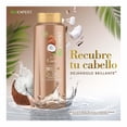 thumbnail image 2 of Shampoo BioExpert óleo de coco brillo 650 ml, 2 of 4