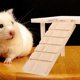 thumbnail image 2 of Decorative Chinchilla Toy Wear-resistant Hamster Platform Wooden Guinea Pig Ramp, 2 of 4