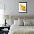thumbnail image 6 of Rubber Ducks in Bath, Framed Art Print Wall Art by John Miller Sold by Art.Com, 6 of 6