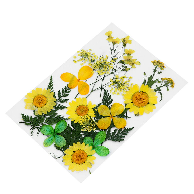 NUOLUX Flowers Pressed Dried Flower Sheet Nail Multiple Colorful