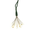 thumbnail image 3 of Kurt Adler 75-Light Cluster Lights and Warm White Twinkle LED Lights with Green Wire, 3 of 4