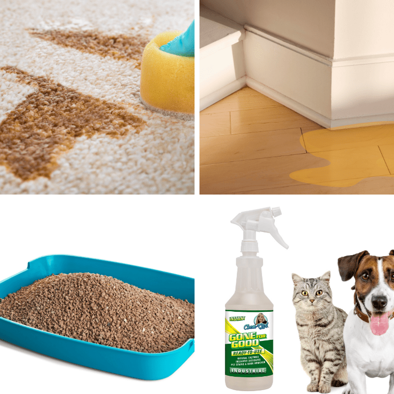 GONE FOR GOOD  - Professional Enzymatic Urine, Stain & Odor Remover