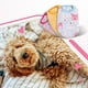 thumbnail image 3 of Pets Ropa Coral Velvet Chaleco Cálido Mantenimiento Chalecos Elásticos Con Patrones Lindos Ropa Cómodo Suministros para uso de la piel L Tipo 2 Dido Hogar, 3 of 6