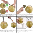 thumbnail image 3 of Coconut Opener Tool Set Food Grade Stain Less Steel Coco Nut Bottle Opener, 3 of 5