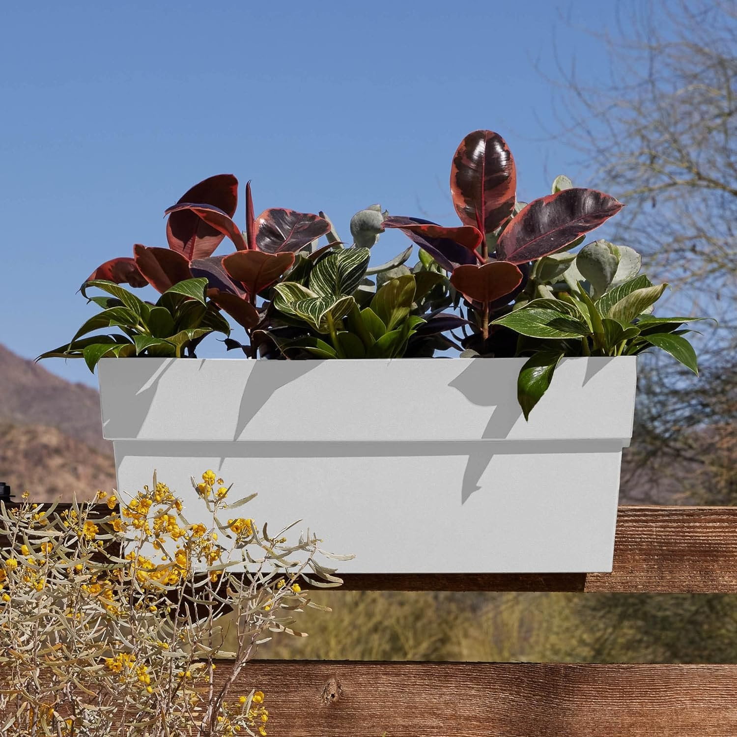 Bloem Finley 24" Deck Rail Rectangle Planter Window Boxes, Casper White