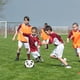 thumbnail image 5 of Mini balón de fútbol de 15 cm con bonito diseño de animales, pelota de espuma suave para niños, suave y saltarina, tamaño perfecto para que jueguen los niños., 5 of 5