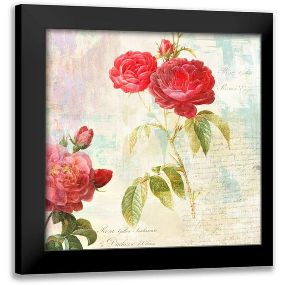 Chestier, Eric 12x12 Black Modern Framed Museum Art Print Titled - Redoutes Roses 2.0 - IIÂ