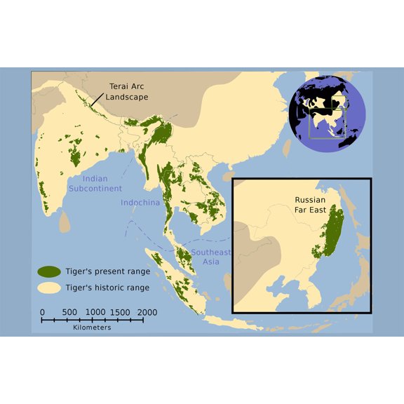 24x36 gallery poster, Map of Historical range of tiger is shown in pale yellow and current range (2006) in green