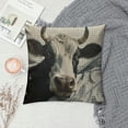 thumbnail image 2 of Awypu  Throw Pillow Cover Dairy Funny Cow White Crazy Animal Face Farm Home Decorative Square Pillow Case for Men Women Boy Gilrs Bedroom Livingroom Cushion Cover Black Beige Pillowcase 22x22in, 2 of 5
