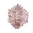 thumbnail image 3 of Women's Vintage Gingham Floral Quilted Tote Bag, Large Capacity Casual Shoulder Bag for Shopping, 3 of 6