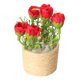 thumbnail image 4 of 2x Casa de Muñecas en Maceta Paisaje de Rosas Modelo 1:6 Decoraciones DIY Accesorios de Sala de Estar Modelo de Bonsái Artificial para Adornos de Casa, 4 of 9