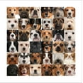 thumbnail image 2 of Art.com Collage Of 36 Dog Heads Stretched Canvas Print Wall Art by Life on White, 30" x 30", 2 of 4