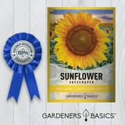 Skyscraper Sunflower Seeds