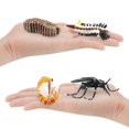 thumbnail image 1 of 4pcs Creative Snail Growth Cycle Model Toys Unique Design Simulation Animals Models Comptiable With Kids Scientific Cognitive Toys, 1 of 5