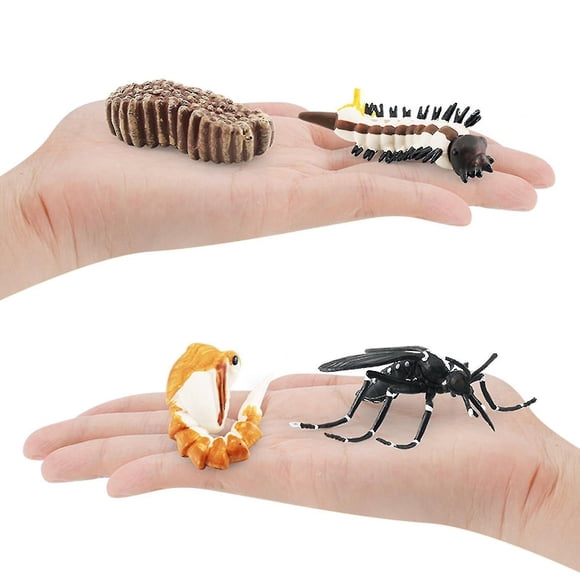4pcs Creative Snail Growth Cycle Model Toys Unique Design Simulation Animals Models Comptiable With Kids Scientific Cognitive Toys