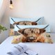 thumbnail image 4 of Funda De Edredón Flores Funda De Edredón King Chic Cattle Juegos De Cama Funny Bull Cows, 4 of 6