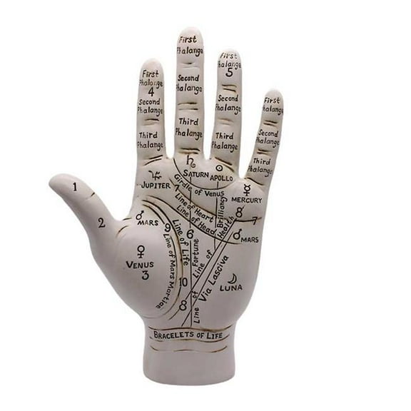 AzureGreen RP3269 9.5 in. Palmistry Hand