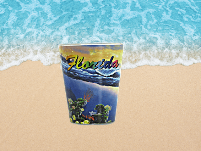 Shot Glass Florida Dolphin 1 Count Beach Hut Inc. Brand Souvenirs