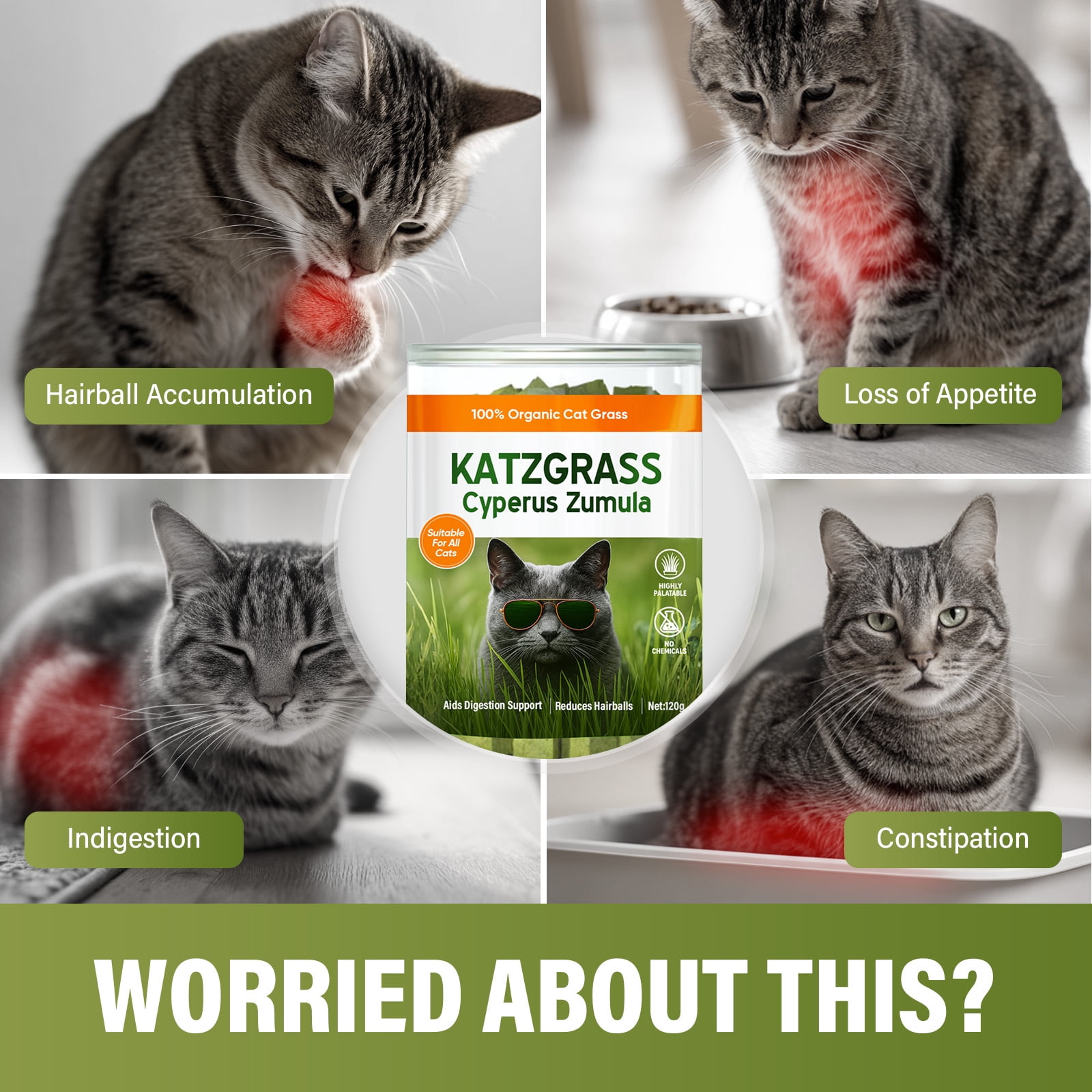 Cat Grass Treats, Cat Grass for Indoor Cats, 100% Organic Hairball Relief & Digestive Support, 120g
