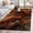 Brown, variant on Red Marble Bathroom Rug Washable 2x3 Entryway Rug Non Slip Modern Abstract Ombre Fluid Aesthetic Front Door Mat Low Pile Indoor Doormat Throw Floor Carpet for Kitchen Bedroom Entrance