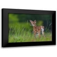 thumbnail image 1 of Kalathas, Nick 14x11 Black Modern Framed Museum Art Print Titled - Spring Fawn, 1 of 5